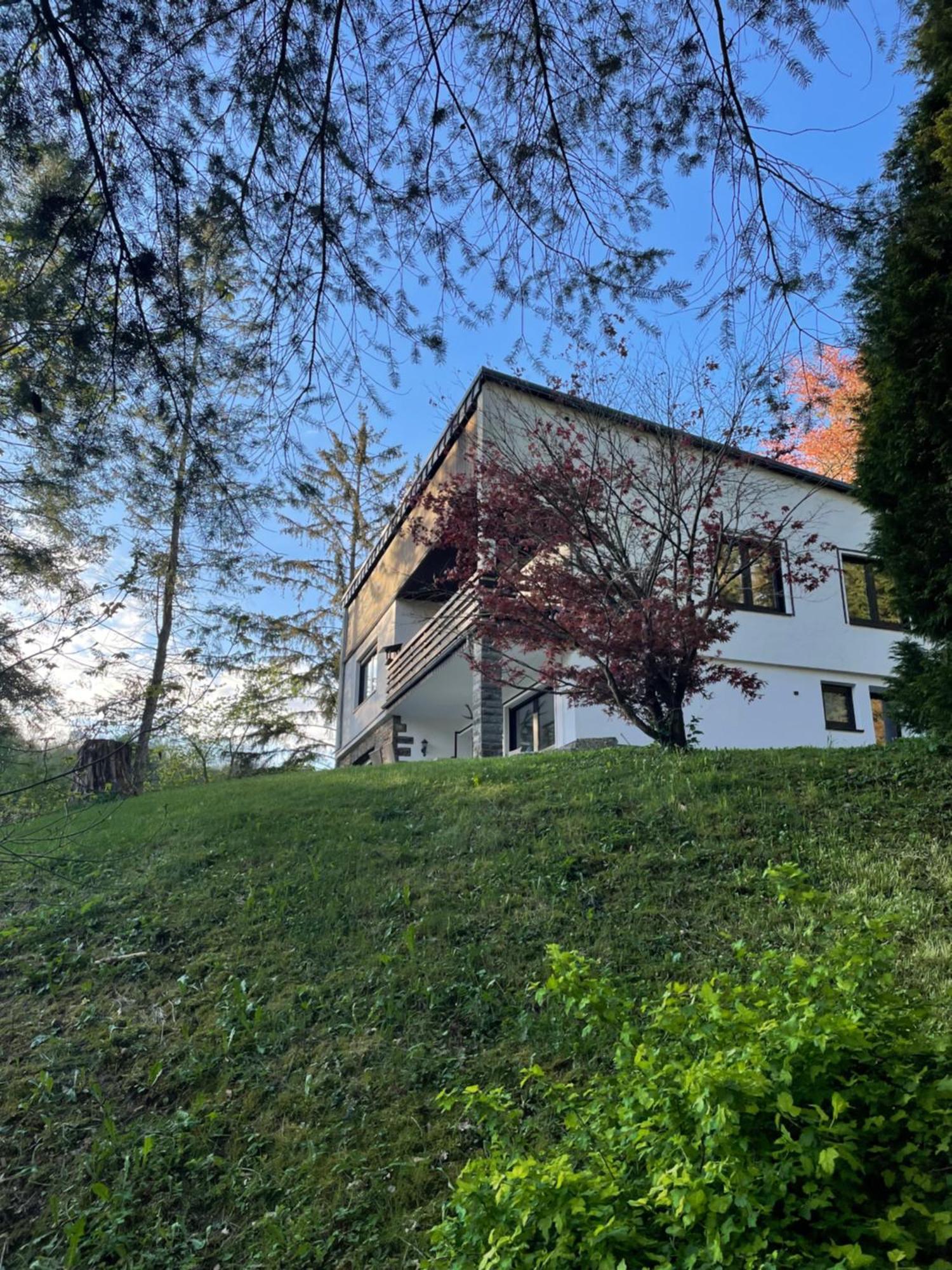 Talblick Chalet Blankenheim 블랑켄하임 외부 사진